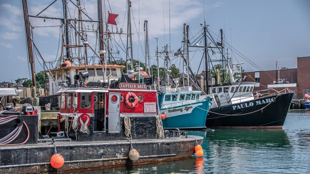 La Evolución y Relevancia de la Pesca Selectiva