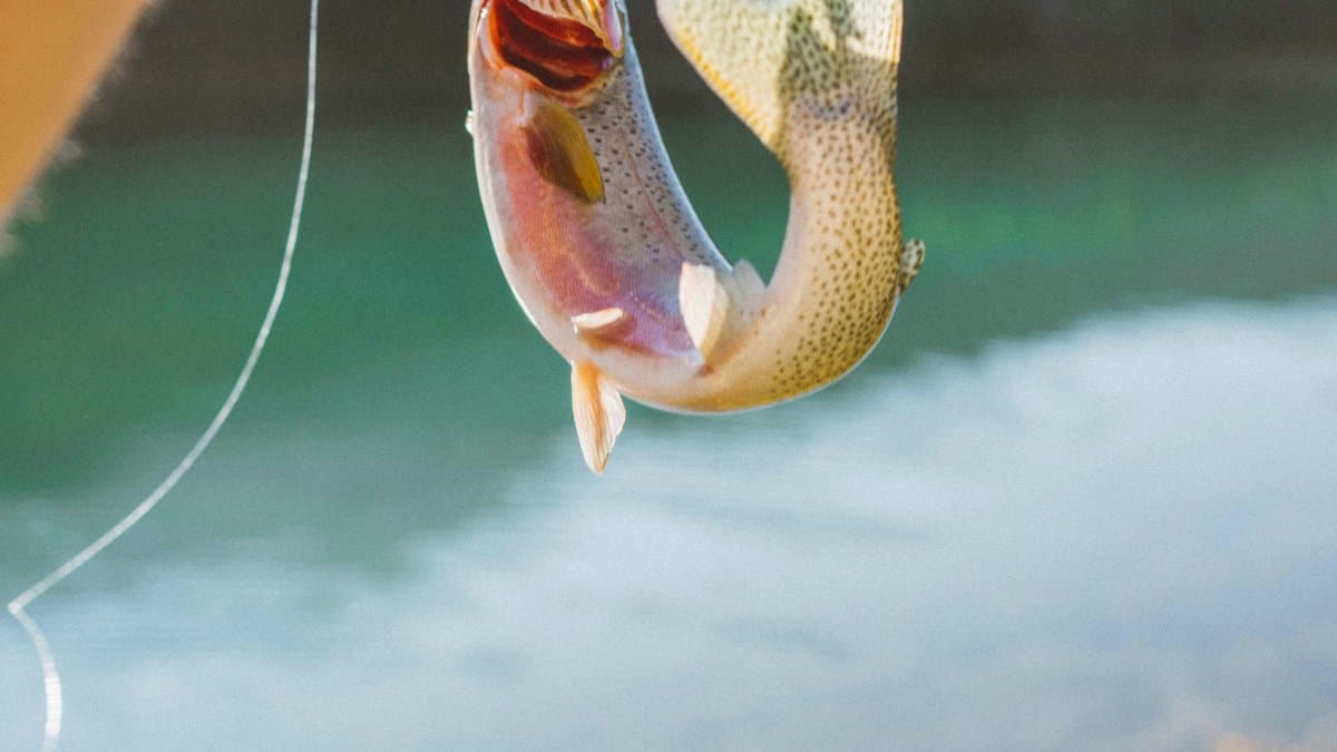 Guardia Costera de Canada completa su decimo Bay Class y da inicio a un buque de investigacion pesquera costera