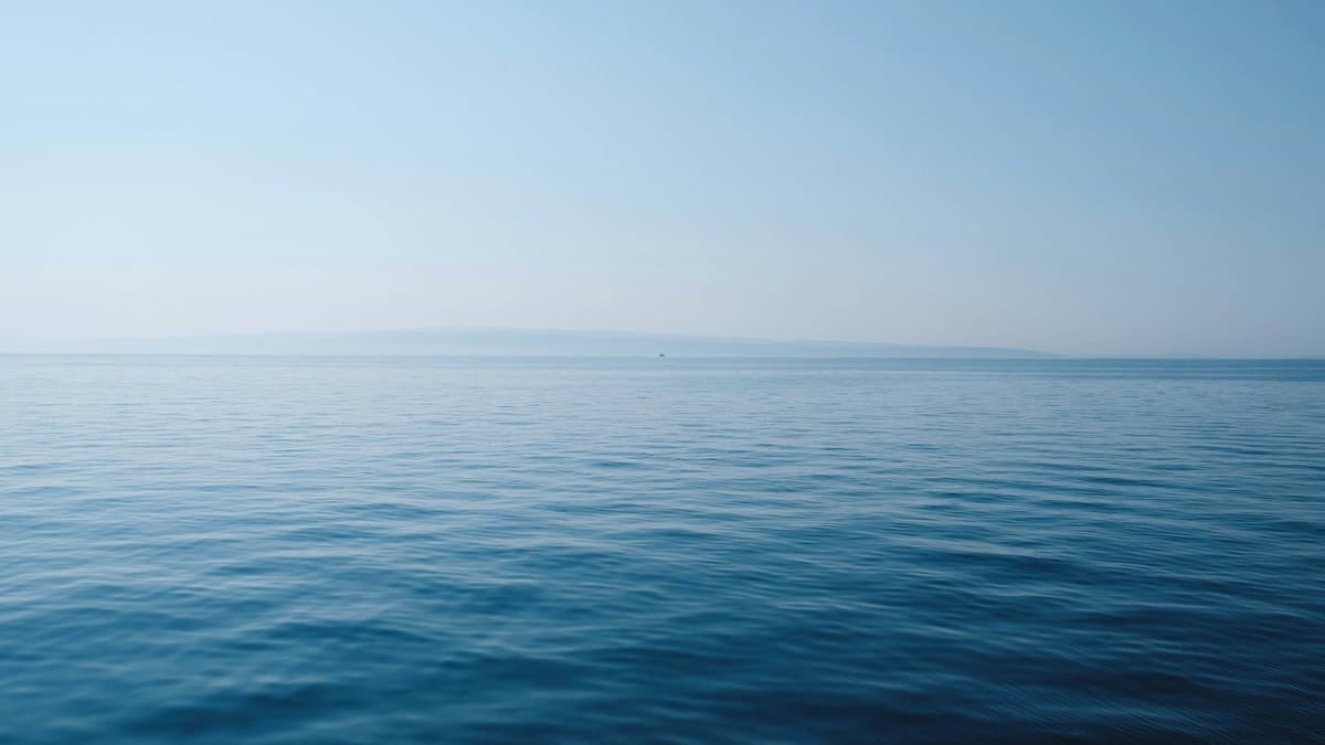La Regulación de la Pesca: Claves para la Sostenibilidad en el Sector Pesquero