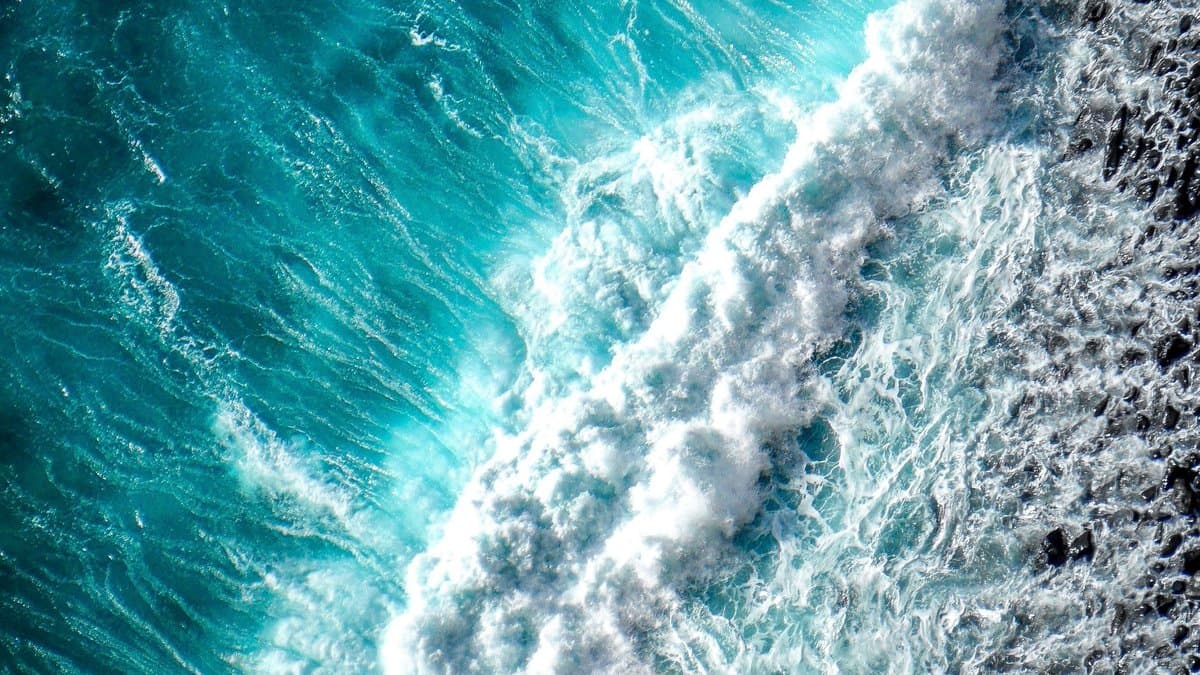 La Importancia de la Cuotificación en la Pesca: Un Enfoque Práctico para la Sostenibilidad