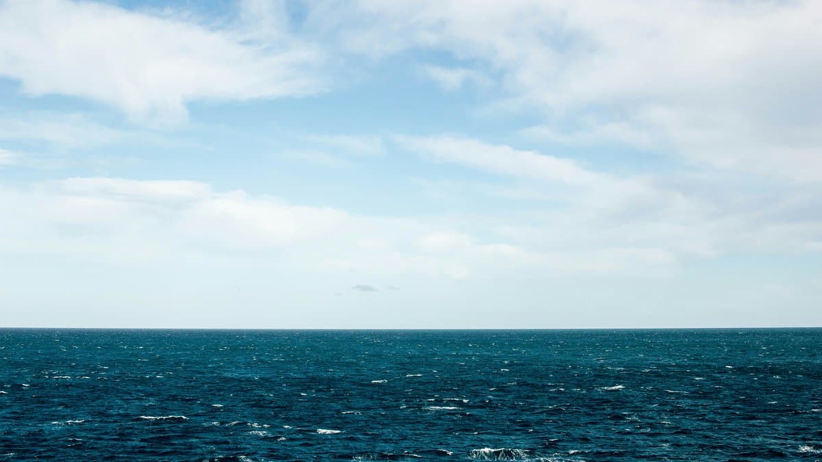 La Importancia de la Sostenibilidad en la Pesca: Claves para un Futuro Responsable