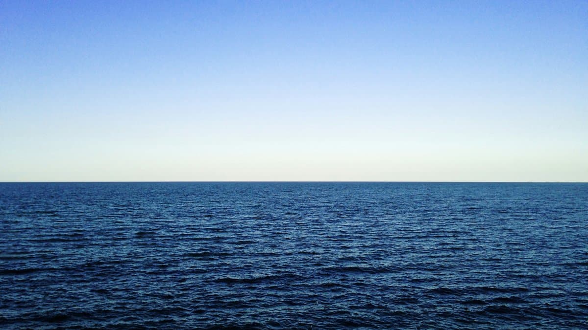 Gestión Sostenible de las Pesquerías: Estrategias para la Reducción de Capturas