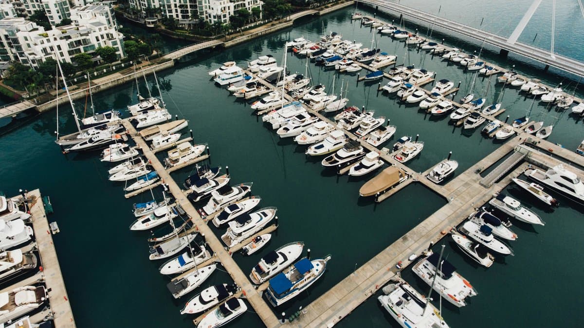 Estrategias de Conservación y Ordenación Pesquera en Alta Mar