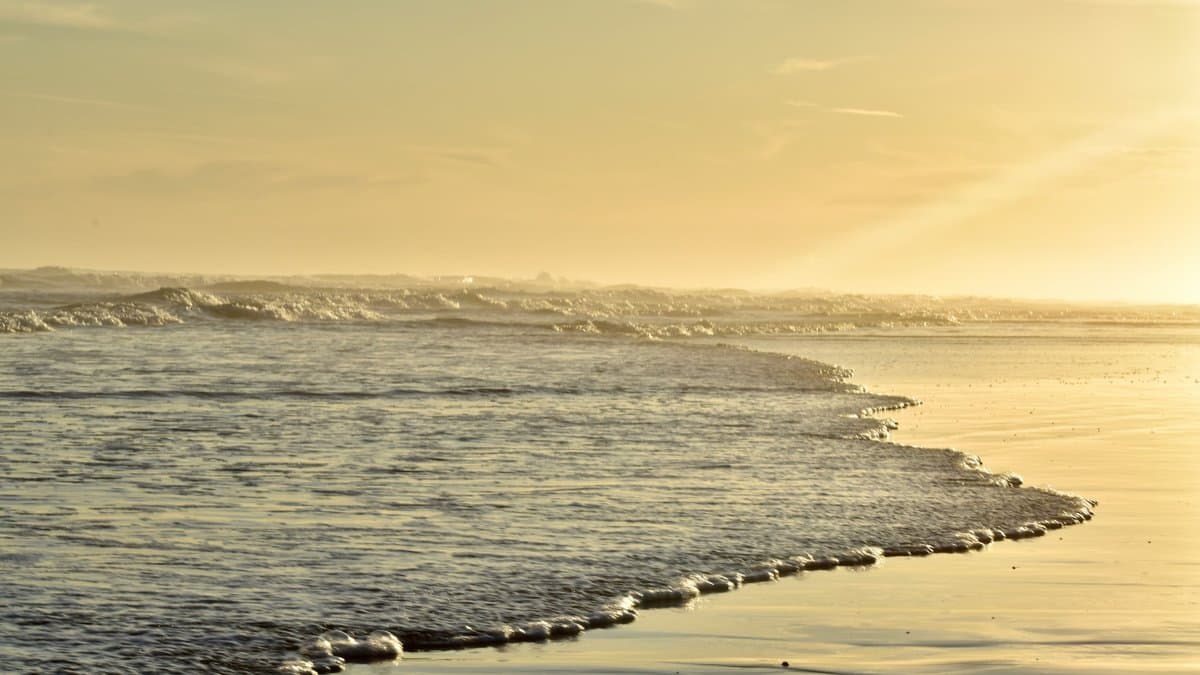 Energy Traders Steer Shipping Toward Greener Horizons