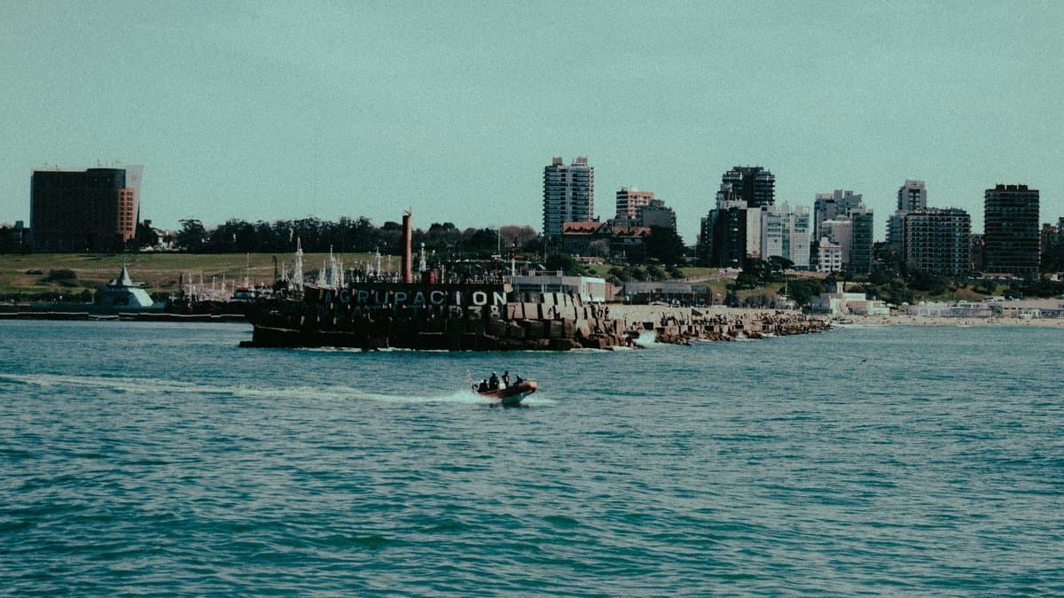 Gestión Sostenible de Pesquerías: Claves para el Éxito en el Sector