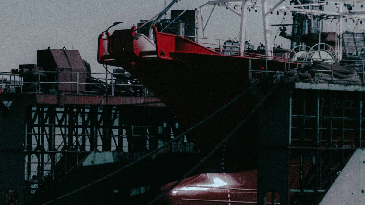 Manejo Sostenible de la Merluza: Estrategias y Regulaciones