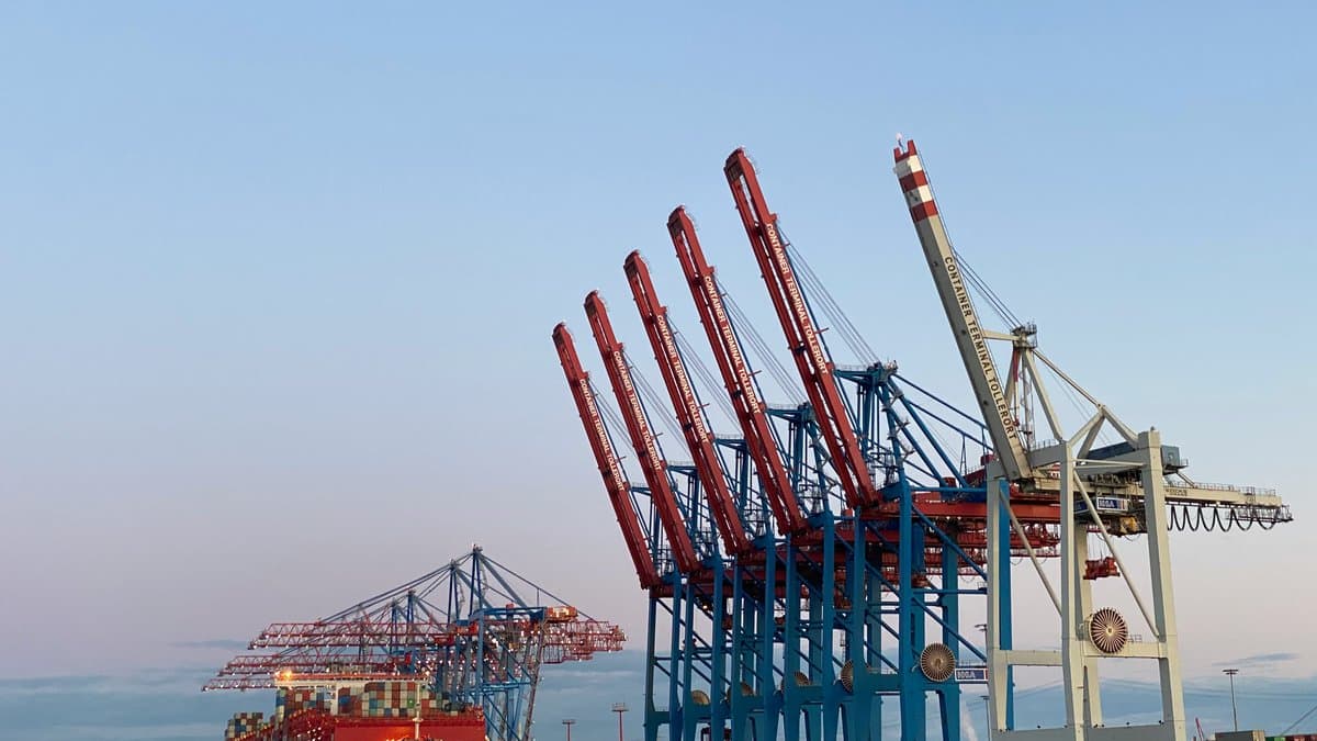 Control de la Cadena de Frío en la Industria Pesquera